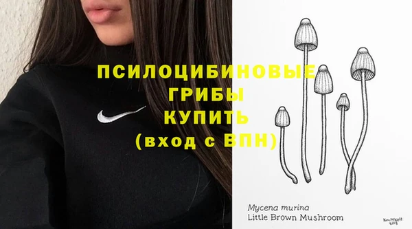не бодяженный Арсеньев