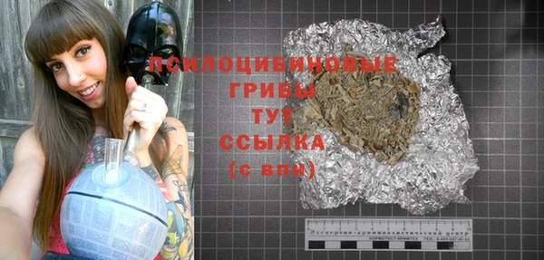 не бодяженный Арсеньев