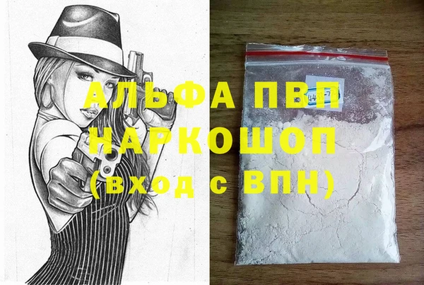 стаф Аркадак