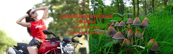 не бодяженный Арсеньев