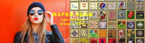 стаф Аркадак