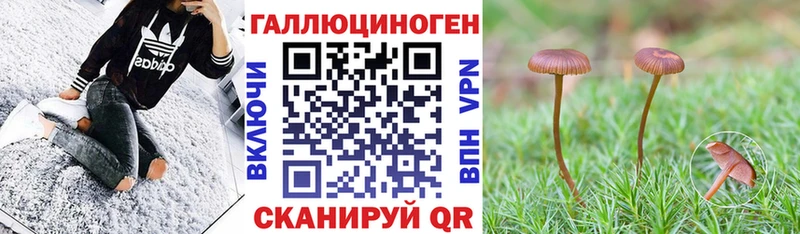 Галлюциногенные грибы Magic Shrooms Фатеж